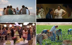 Image result for mcfarland review