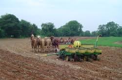 Image result for no till planter