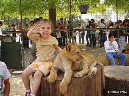 Image result for zoo animals