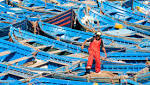 can't fish Western Sahara coast,