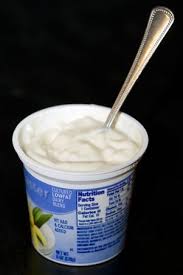 Image result for yogurt