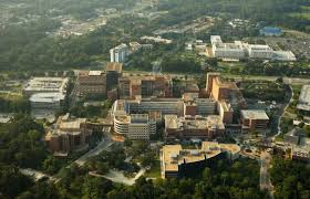 Image result for The University of Florida