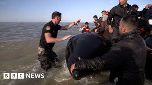 BBC - News update
