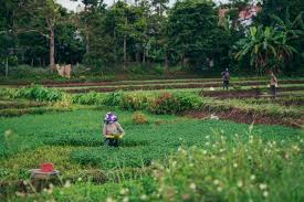 Farmer.pl - News update