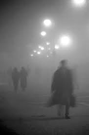 Risultati immagini per nebbia