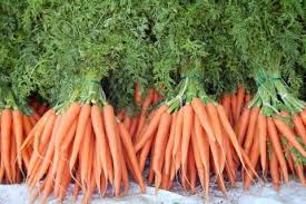 Image result for vegetable africa