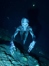 Underwater Aliens: Strange Creatures from the Deep Sea | TikTok