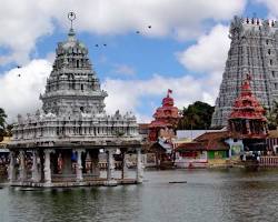 Image of Temple Tank of Suchindram Shree Thanumalayan Swamy Temple