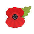 Day Poppy Remembrance Stock Illustrations – 3,800 Day Poppy ...