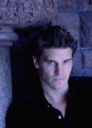 Galerie - buffy-angel-david-boreanaz-dvdbash-4