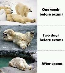 images?q=tbn:ANd9GcTs5F3xinjjh8wJKeQGiIt5LCIwAJhMYkqjL8567_vqZ7khUydE