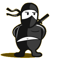 Hasil gambar untuk ninja