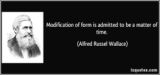 Finest nine lovable quotes by alfred russel wallace pic Hindi via Relatably.com