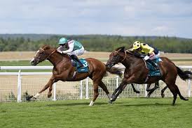 Racing TV - News update