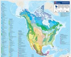 Image of Level II ecoregions of North America