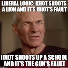 Image result for LIBERAL IDIOT