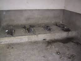 Bildergebnis für china public toilet