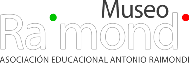 Logo - Museo Raimondi, Asociacion Educacional Antonio Raimondi