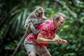 Travel And Tour World - News update