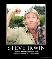 Steve Irwin Quotes That Said. QuotesGram via Relatably.com