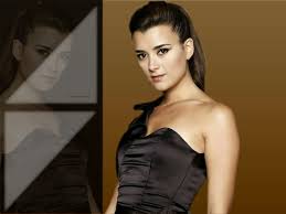Image result for cote de pablo