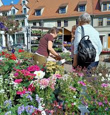 Gartenmarkt, Fackelumzug, Tanz in den Mai und ein Hexenfest: Was in der Region am langen Wochenende los ist