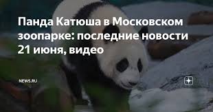 Дзен - News update