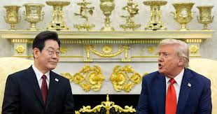 조선일보 - News update
