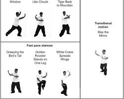 Tai chi exercise