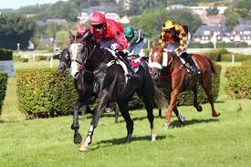 Equidia - News update