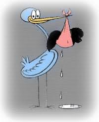 Afbeeldingsresultaat voor welkom thuis puppie