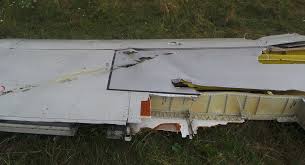 Image result for mh17 wings