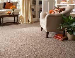 Carpet cleaning in Rochester MI