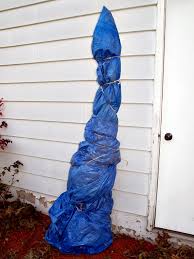 Résultat de recherche d'images pour "burying fig trees"