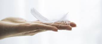 sensitivity కోసం చిత్ర ఫలితం