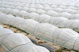 Bildergebnis für row cover