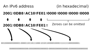 https://encrypted-tbn1.gstatic.com/images?q=tbn:ANd9GcTt3DVcYaAUgOQJN9bYmtnPl0se24-DNLYoAVh4NfRtDVhVbGhG