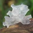 Tremella fuciformis