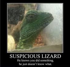 Image result for he knows you know