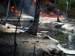 Image result for Niger Delta picture