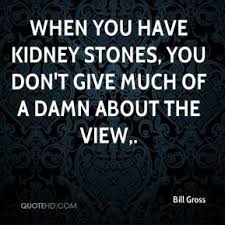 Kidneys Quotes. QuotesGram via Relatably.com