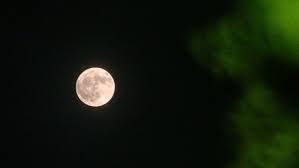 Luna llena del ciervo de julio: por qué se llama así y cuándo se podrá ver