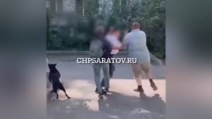 Взгляд-инфо - News update