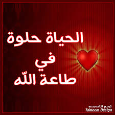 الصورة الجماعية Images?q=tbn:ANd9GcTtI6eGiBeZ2ERPFuu4dtVjz3C5Qt6vNQPS3SU15rX_hHMX_lfz