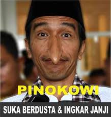 Hasil gambar untuk meme jokowi