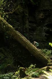 Hiking Through Appalachia, Following Stories Old and New