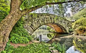 Image result for photo high dynamic range