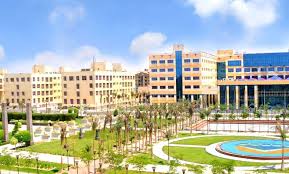 خاص مصر - News update