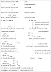 Fettsaureoxidation