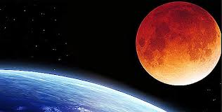 Image result for prophesy